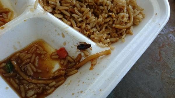 I was done eating my bowl until I found this. I threw up my food right away. This is disgusting. I even gave them tip!