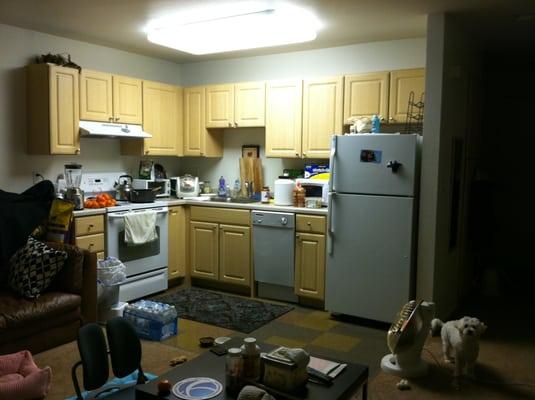 Studio kitchen with full size refrigerator, stove and oven. Half size dishwasher.