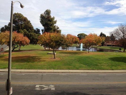 The view from one of our treatment rooms. We strive to provide a pleasant and relaxing dental visit.