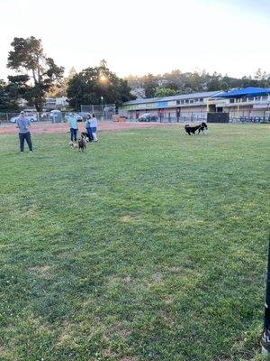 Off Leash Dog Park