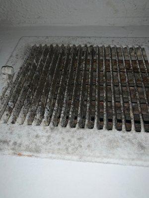 Black mold in air vents