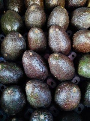 Aguacates #1