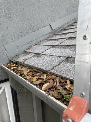 Gutter cleaning