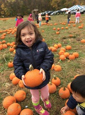 A fun field trip to the Pumpkin Patch!  Just one of the many fun off-site enrichments at Cresthill Academy!!!