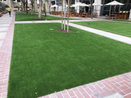 Artificial Grass Installation Ronald Reagan Hospital