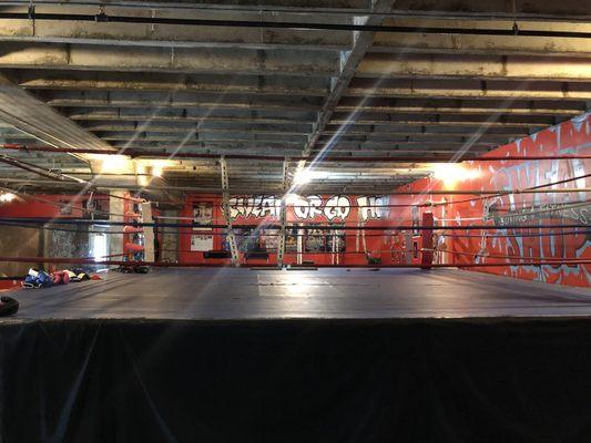 Boxing ring