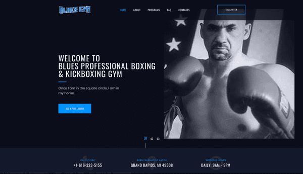 bluesboxinggym.com