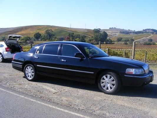 Wine Tours - Domaine Carneros Winery.