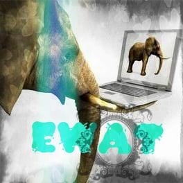 EWAT Consulting