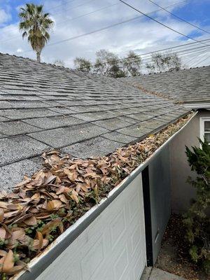 Gutter cleaning