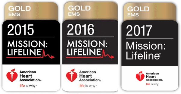 Mission Lifeline Gold Award Winner 2015, 2016, 2017