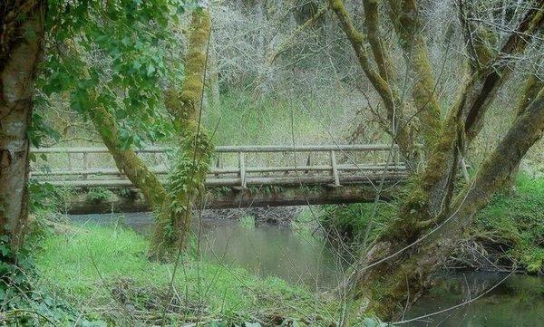 Beautiful Scaponia Park, located near Vernonia, Oregon is the perfect getaway from the city, with 10 tent camping sites and RV's prohibited.