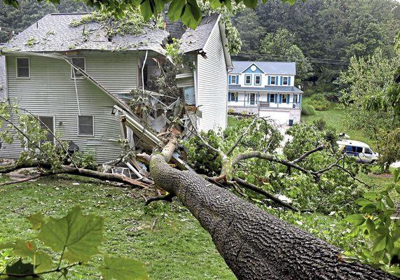 Wind Damage