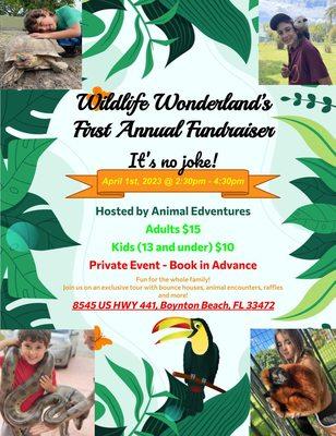 Wildlife Wonderland