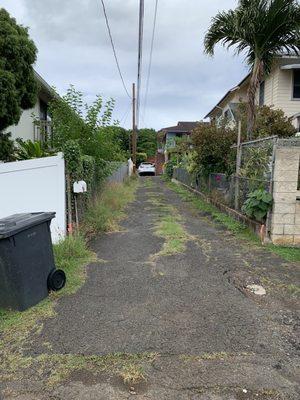 BEFORE - old asphalt driveway