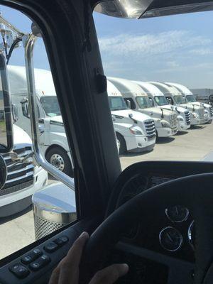 A lot of  127 FREIGHTLINER CASCADIA ^^