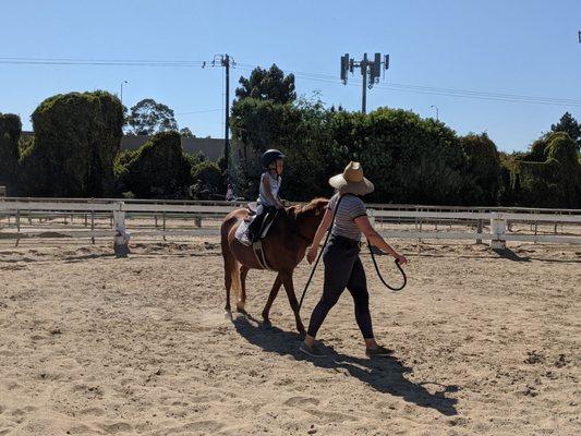 Equestrian In Training