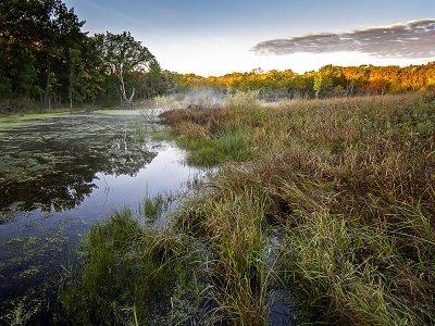 The Land Conservancy - McHenry County