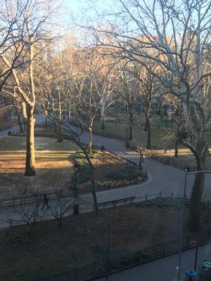 View of Washington Square Park from our office