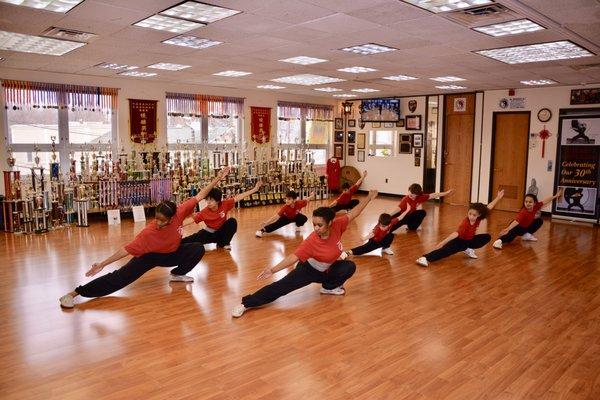 Al Bender's Kung Fu Academy