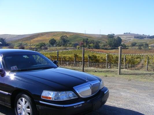 Wine Tours - Domaine Carneros Winery.