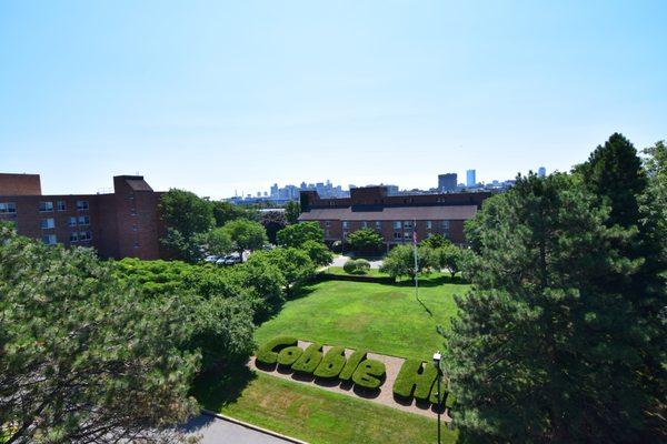 Cobble Hill Apartments