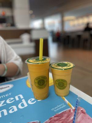 Real Fruit Bubble Tea