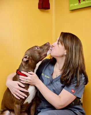 Market Street Animal Clinic