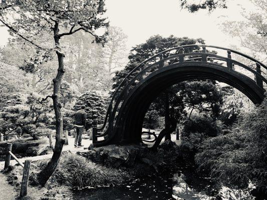 Moon bridge