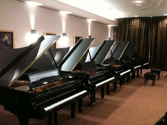 Steinway Model D