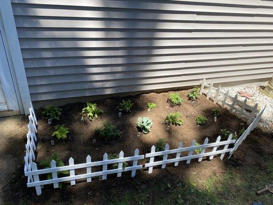 Garden Season 2022! Scotch,Haberno,Ghost.. long hots, jalapeño..San Marzano and sweet 100 tomatoes..Basil.broccoli, spinach