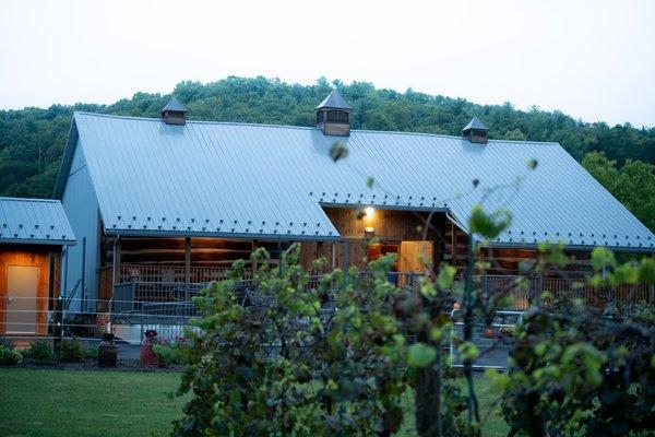 Grape vines at The Barn at Little Buffalo