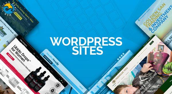 Custom Wordpress websites