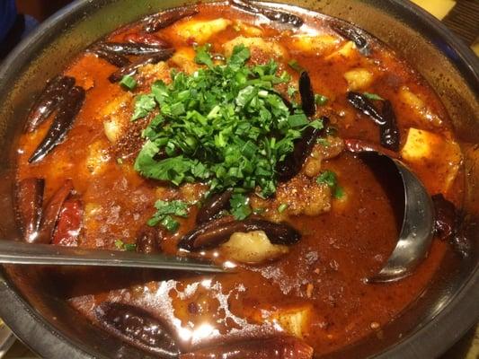 Sichuan Fish (水煮鱼)