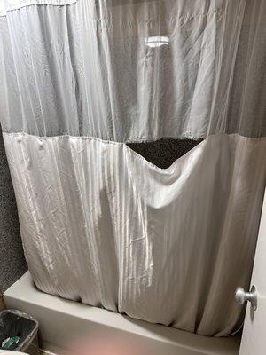 Ripped shower curtain