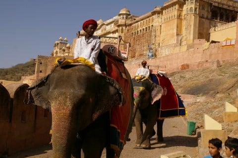 Riding the Elephant at the Fort