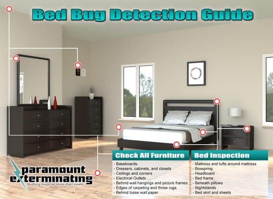 Where To Look For Bed Bugs!