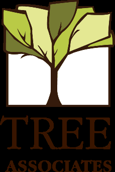 Call us if you need a tree expert in Davis, Woodland, Sacramento, Vacaville or Fairfield