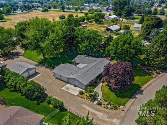 Do you enjoy shade? I can sell you an acreage property with tons of trees