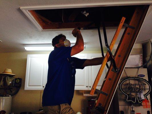 Our owner getting ready to start the attic inspection on a home