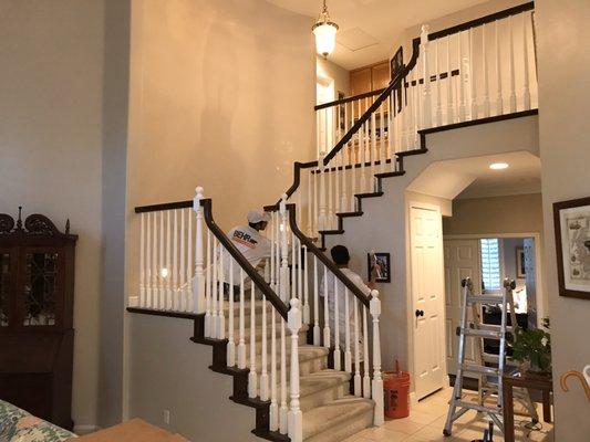 Best Painting & Handyman Services