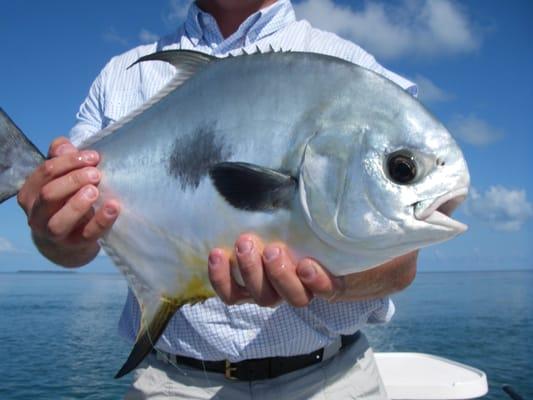 Key West Permit