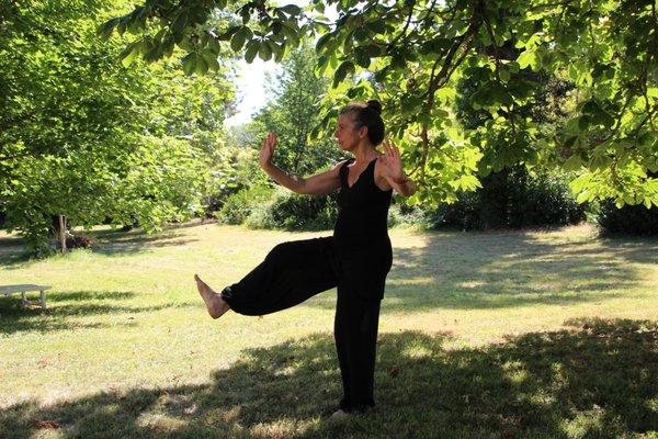 We offer Tai Ji Quan Moving for Better Balance (TJQMBB) classes to challenge your balance!