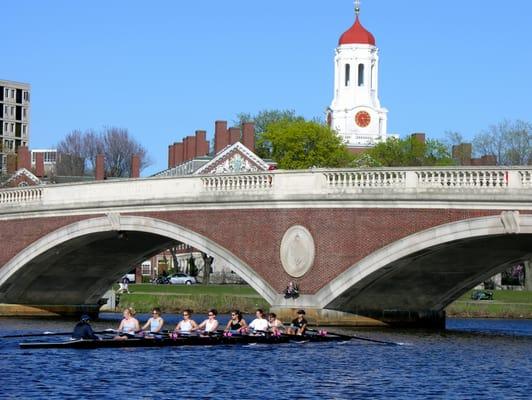 Rowers on The Charles River