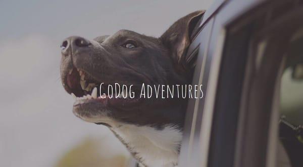 GoDog Adventures