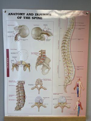 California Chiropractic