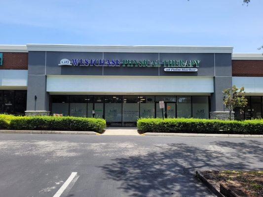 Westchase Physical Therapy - Palm Harbor