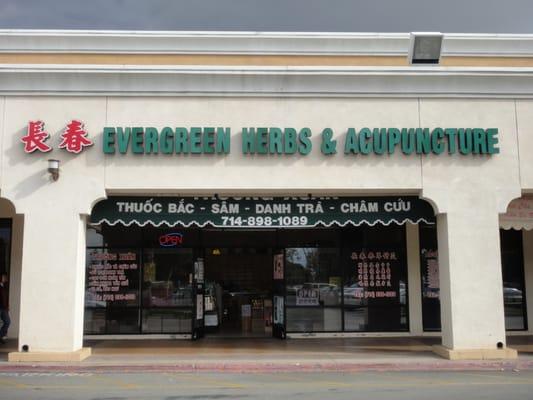 Evergreen Herbs & Acupuncture