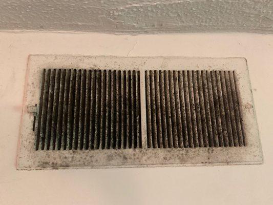 Black mold in air vents