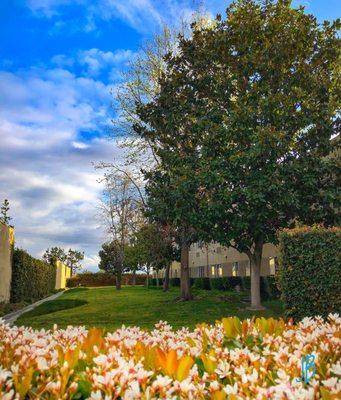 This is a view down the East side of the building featuring grass and trees.